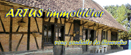 Artus Immobilier