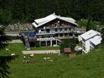 La Darbella